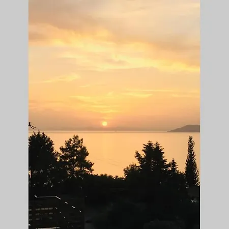 Rosy Sunset