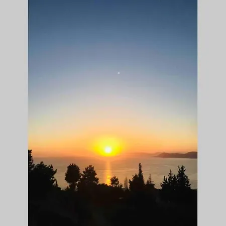 Rosy Sunset Willa *
